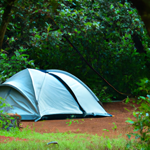 אוהל רחב ידיים שהוקם בתוך יער ירוק שופע, המשקף את שלוות השממה.